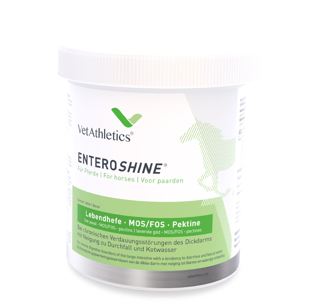 enteroshine® bei chronischen verdauungsstörungen des dickdarms mit neigung zu durchfall und kotwasser