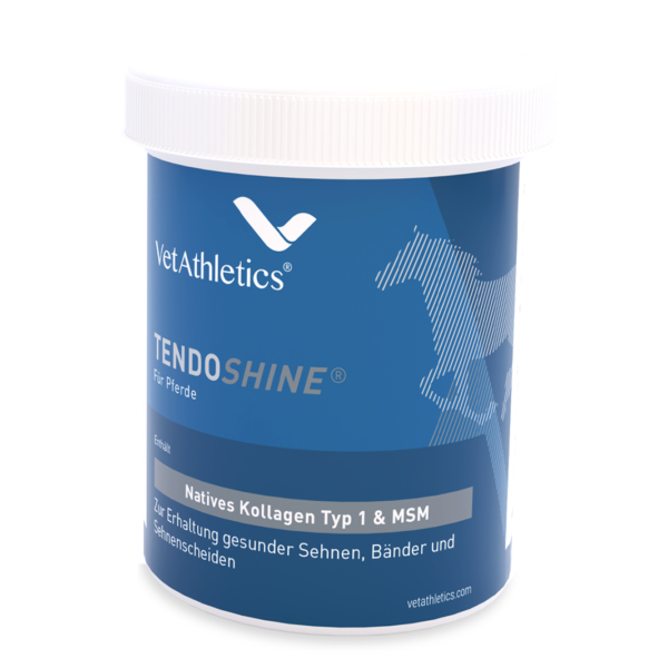 tendoshine® sehnen, sehnenscheiden und bänder für pferde