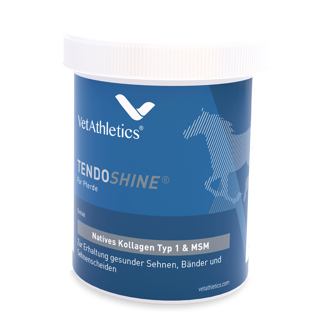 tendoshine® sehnen, sehnenscheiden und bänder für pferde